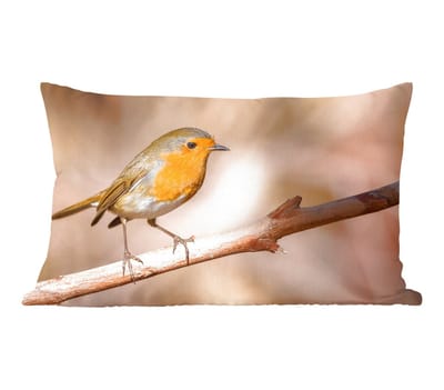 Sierkussens - Kussentjes Woonkamer - 50x30 cm - Vogel - Tak - Roodborstje