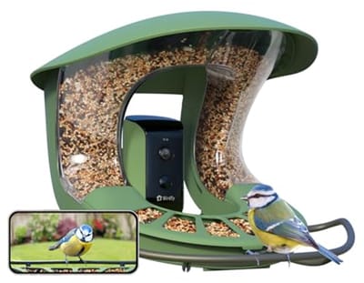 Vogelvoederhuis met camera voor live observatie