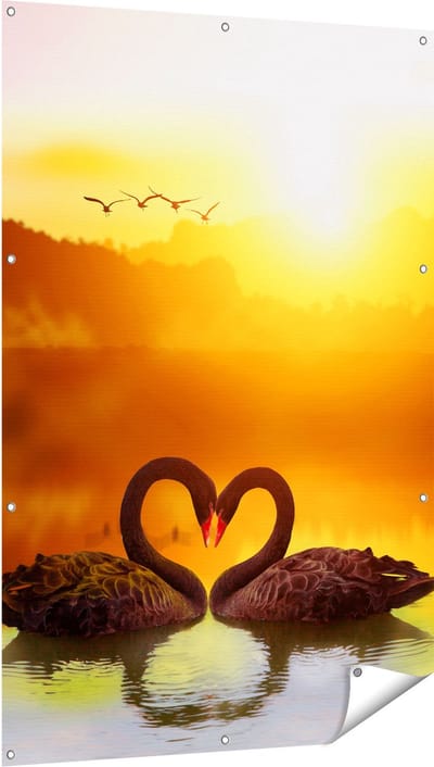 Gards Tuinposter Twee Zwarte Zwanen in een Hart Vorm - 100x150 cm - Tuindoek - Tuindecoratie - Wanddecoratie buiten - Tuinschilderij