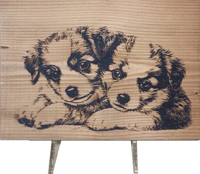 Hondjes - Houten Wandbord | Puppy's - Decoratie - Houten Schilderij Honden - Woonaccessoire - Huisdieren