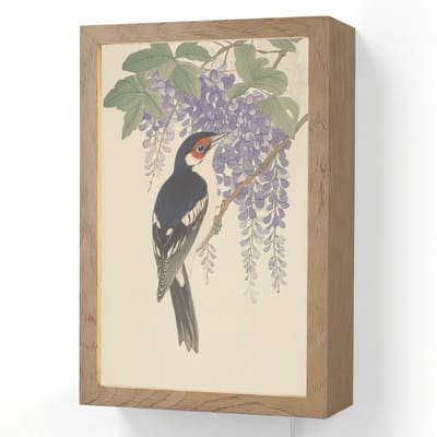 Wandlamp 20x30 cm - Oplaadbaar - Specht - Bloemen - Paars - Wandlampen binnen woonkamer - Slaapkamer lamp met kabel - Decoratieve nachtlamp - Vloerlamp snoer