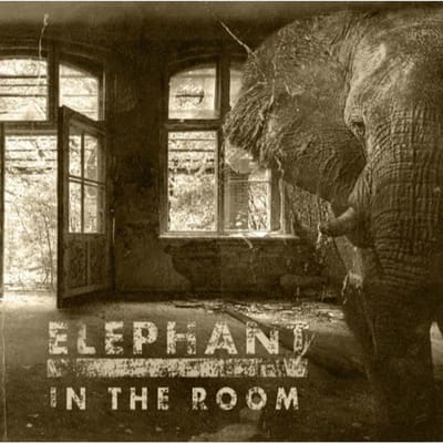 Elephant In The Room - Blackballed