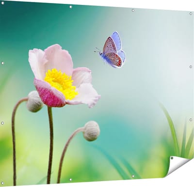 Gards Tuinposter Roze Anemoon Bloem met een Blauwe Vlinder - 150x120 cm - Tuindoek - Tuindecoratie - Wanddecoratie buiten - Tuinschilderij