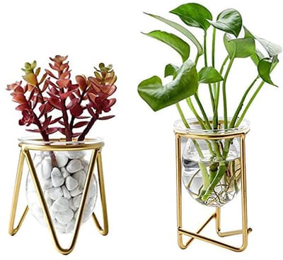 Vaas, Vermeerderingsstation, Reageerbuis - 2 Specificaties, Voor Groene Planten Op Desktop