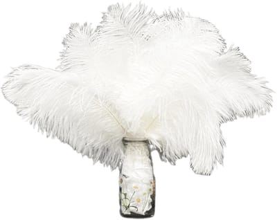 Dailygoods- Struisvogelveren 12 stuks - Natuurlijke Pluimen 25-30 cm - Zacht en Lichtgewicht - Kras- en Vuilafstotend - Voor Knutselen en Decoratie - Veren