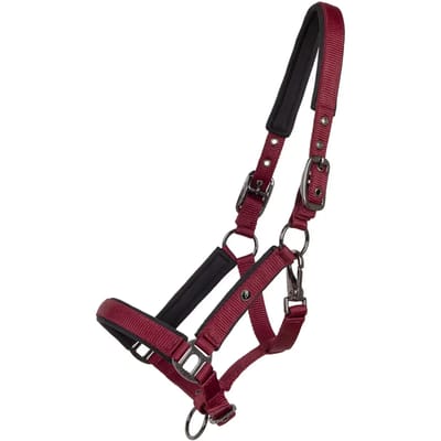 Halster voor veulen QHP Deluxe