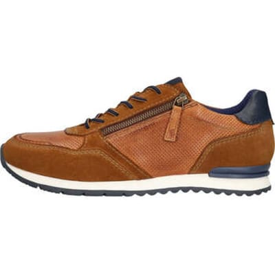 Lage Sneakers Salamander -