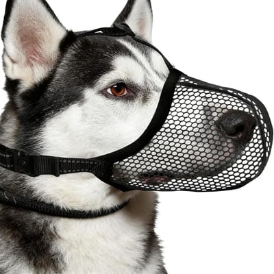 Hondenmuilkorf - Bark stop - Veilig wandelen - Reflecterend ontwerp - Maat L - Zwart