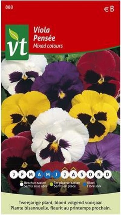 Viola Gemengd