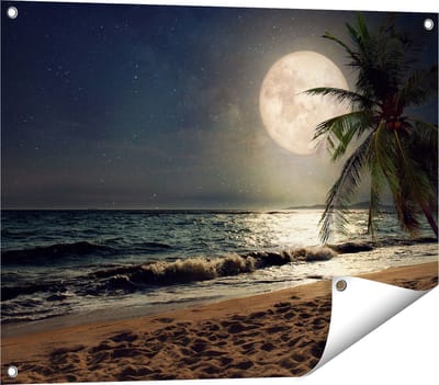 Gards Tuinposter Tropisch Strand in de Nacht met Volle Maan - 80x60 cm - Tuindoek - Tuindecoratie - Wanddecoratie buiten - Tuinschilderij