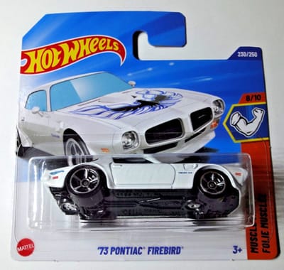 HOT WHEELS '73 PONTIAC FIREBIRD WHITE EAGLE 1:64 230/250 HW MUSCLE MANIA 8/10 SHORT CART 2025