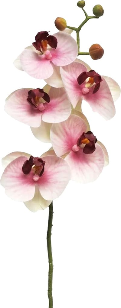Bellatio Design Kunstbloem Orchidee Bora - roze - 58 cm - losse steel - kunst zijdebloemen - Phalaenopsis