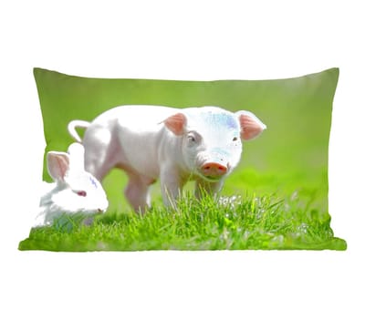 Sierkussens - Kussentjes Woonkamer - 50x30 cm - Biggetje - Konijn - Dieren