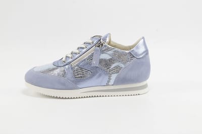 DLSport 6564 versione 09 velour illusion ancona celeste L.BLAUW
