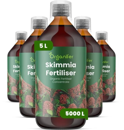 Vloeibare Meststof Voor Skimmia 5X1 L Voor 5000 L - Npk 3-4-3 - Ondersteunt Een Evenwichtige Groei - Bevordert Glanzend, Wintergroen Blad En Een Plantstructuur - Stimuleert Een Betrouwbare Bloei En De Ontwikkeling Van Decoratieve Bessen - Organifer
