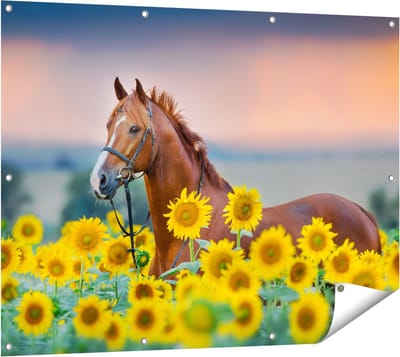 Gards Tuinposter Bruin Paard tussen de Zonnebloemen - 120x90 cm - Tuindoek - Tuindecoratie - Wanddecoratie buiten - Tuinschilderij