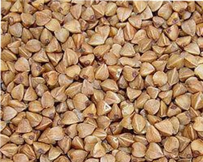 Wielink Boekweit 20KG