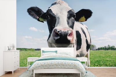 Behang - Fotobehang Koe - Weiland - Natuur - Dieren - Gras - Breedte 360 cm x hoogte 240 cm