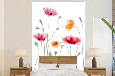Behang - Fotobehang Klaproos - Bloemen - Lente - Wit - Breedte 200 cm x hoogte 300 cm