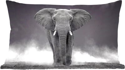Sierkussens - Kussentjes Woonkamer - 60x40 cm - Olifant - Zwart - Wit - Rook