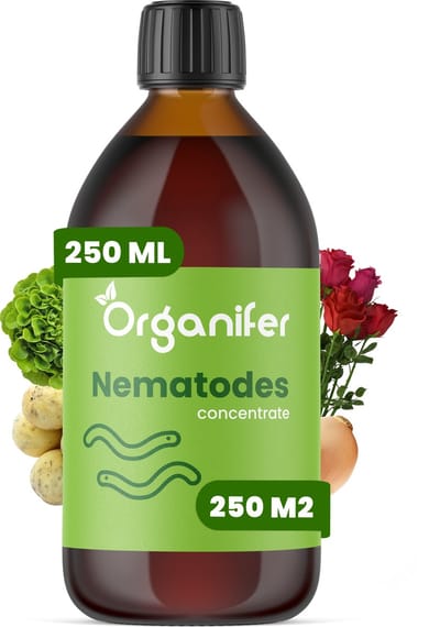 Nematoden - Bodemaaltjes Concentraat (250ml, 250m2) - Nematodes - Aaltjes - Rozenziektes Bestrijden - Wortelaaltjes - Aardappelcysteaaltjes - Bietencysteaaltjes - Voorkomt en geneest - Organifer