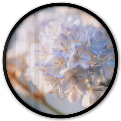 Poster in lijst Rond - Fotolijst 40x40 cm - Posters - Bloemen - Lichtblauw - Wazig - Trosje - Ronde posterlijst zwart - Decoratie - Wanddecoratie woonkamer - Muurdecoratie slaapkamer