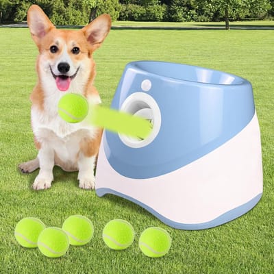 REN® Ballenwerper Voor Honden - Ballenwerper - Hondenspeelgoed - 1.75 KG - Oplaadbaar - Blauw - ‎26cm x 27cm x 21cm