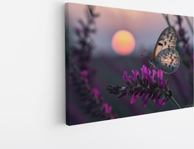 Saammp Canvas Schilderij - Vlinder op Bloemen - Abstract - Natuur - 30x20 - Foto op canvas - Wanddecoratie - Muurdecoratie Woonkamer - Kantoor Decoratie