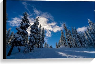 Canvas  - Blauwe Lucht met Besneeuwde Bomen - 60x40cm Foto op Canvas Schilderij (Wanddecoratie op Canvas)