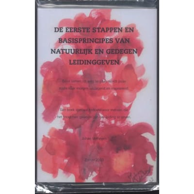 De Eerste Stappen En Basisprincipes Van Natuurlijk En Gedegen Leidinggeven - J. Verheijen