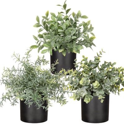 Dailygoods - Oairse Set van 3 kleine planten in potten, kunstplanten, echte eucalyptus, mini-kunstrozemarijn, kunstmatige varenplant, sluierkruid, klein met potten, tafeldecoratie, thuis, balkon, kantoor decoratie