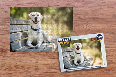 Puzzel Labrador Retriever ligt op een bankje - Legpuzzel - Puzzel 500 stukjes