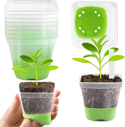 12 Stuks Transparante Kweekpotjes 8cm – Mini Plant Potten met Siliconen Bodem – Herbruikbare Vierkante Stekpotjes voor Zaailingen & Succulenten – Groen