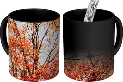 Magische Mok - Foto op Warmte Mokken - Koffiemok - Bos - Herfst - Seizoenen - Magic Mok - Beker - 350 ML - Theemok