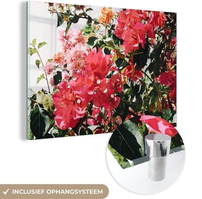 MuchoWow® Glasschilderij 150x100 cm - Schilderij acrylglas - Bloemen - Struik - Zomer - Roze - Foto op glas - Schilderijen