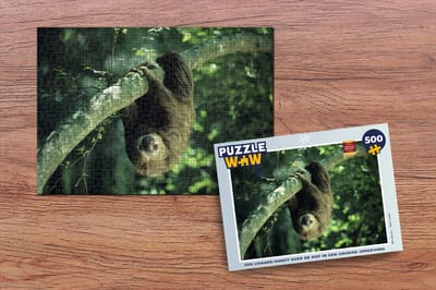 Puzzel Een luiaard hangt over de kop in een groene omgeving - Legpuzzel - Puzzel 500 stukjes
