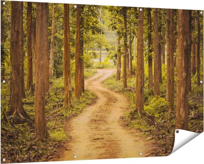 Gards Tuinposter Pad in het Bos met Bomen - 150x100 cm - Tuindoek - Tuindecoratie - Wanddecoratie buiten - Tuinschilderij