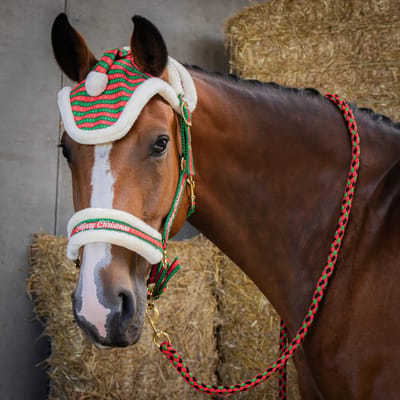 Halter, longe en oorbescherming voor paard Harry's Horse Christmas