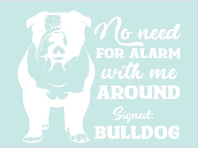 Raam - auto - deur sticker no need for alarm - dog - hond -