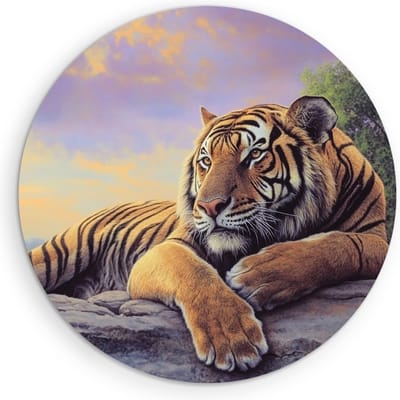 Saammp Muurcirkel Hout - Jonge Tijger op rots - Natuur - Dieren - Ø 90 - Wandcirkel - Wanddecoratie Cirkel - muurdecoratie Woonkamer - Slaapkamer decoratie - Rond Schilderij