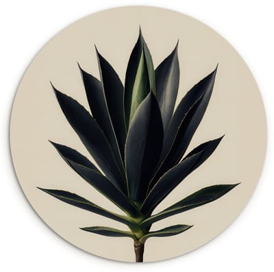 WallCircle® Wandcirkel 120x120 cm - Muurcirkel Agaveplant - Symmetrisch - Groen - Muurdecoratie woonkamer - Wanddecoratie slaapkamer - Kamer decoratie accessoires - Ronde schilderijen XXL