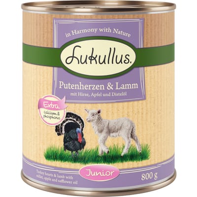 6x800g Junior Kalkoenhart & Lam Lukullus Hondenvoer