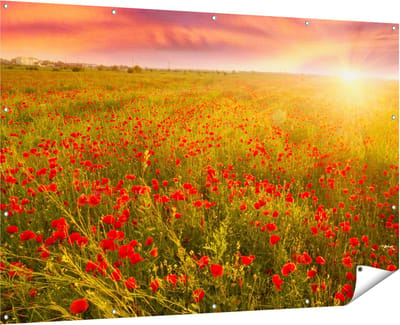 Gards Tuinposter Rode Klaproos Bloemenveld - Zonsondergang - 180x120 cm - Tuindoek - Tuindecoratie - Wanddecoratie buiten - Tuinschilderij