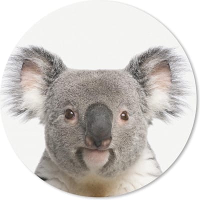 Muismat rond 20x20 cm - Mousepad Dieren - Koala - Wit - Ronde muismatten