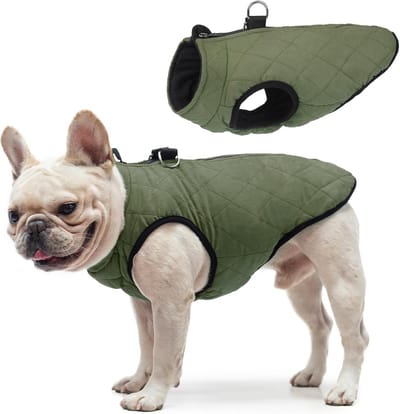 Warme Winter Hondenjas met Ingebouwd Harnas voor Elke Grootte Hond