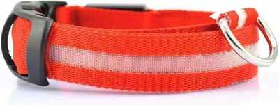 Halsband hond met LED licht - USB oplaadbaar - Hondenlamp - Leiband - Lichtgevend - Honden halsband - Katoen / metaal - Veiligheid - Maat M - Zwart / Rood - 40 tot 48 cm - Inclusief laadkabel