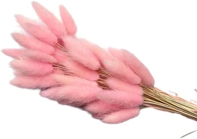 Gedroogd Pampasgras - Droogbloemen Boeket - Decoratie Huis - Natuurlijke Uitstraling - 50 Stuks - Roze