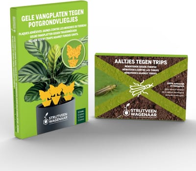 Strijtveen & Wagenaar Combipakket - Aaltjes tegen Trips 10m² + 12 plakstrips - Trips bestrijden - Gele vangplaten – Insectenval - Insecten vanger - Combideal