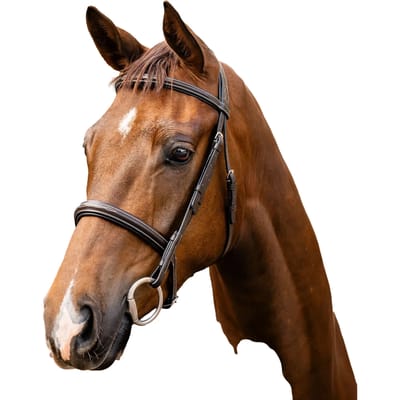 Leren rijhalster Horseware Hunter