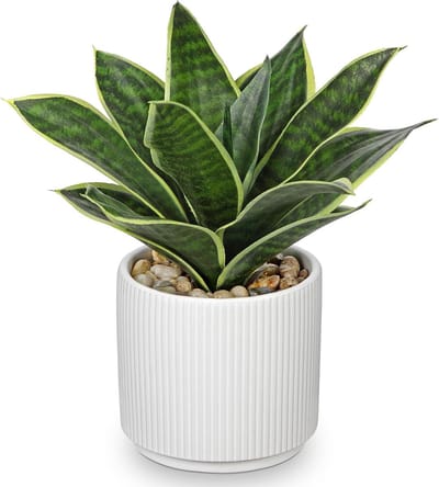 Kunst aloë vera - Decoratieve plant - Woonkamer decoratie - Realistisch uiterlijk - 13 x 14 cm - Groen